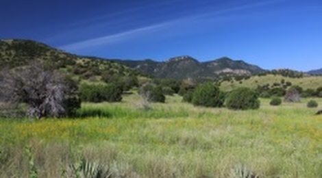 Living under Extraordinary Skies & on Uncommon Ground, Sierra Vista Arizona
