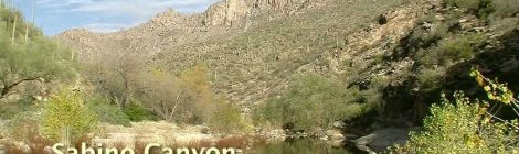 Sabino Canyon, Tucson Arizona