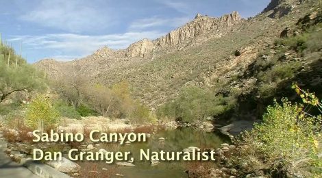 Sabino Canyon, Tucson Arizona