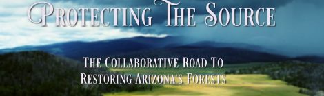 The Collaborative Road to Restoring Arizona's Forests
